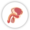 sankur-urology